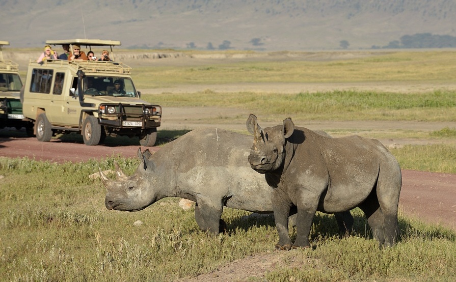  2 Day Tanzania safari