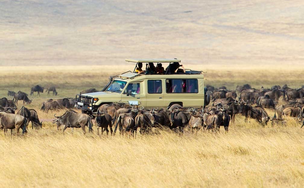  5 day Tarangire, Serengeti & Ngorongoro