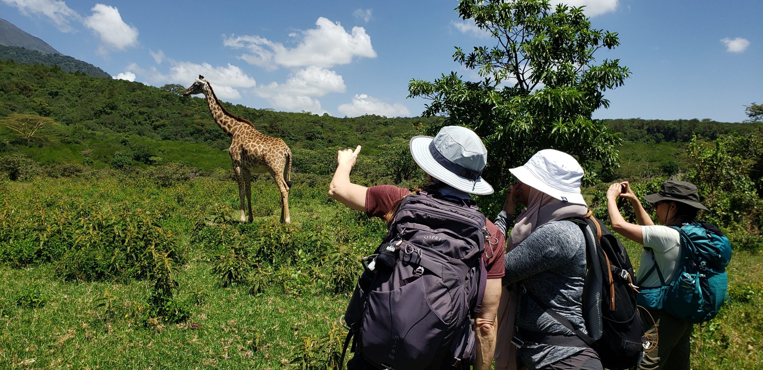 Arusha Park