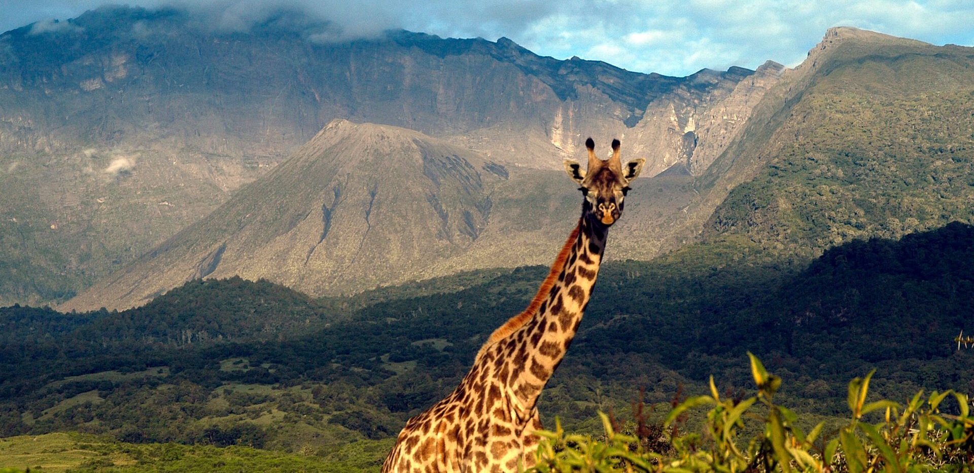 Arusha National Park