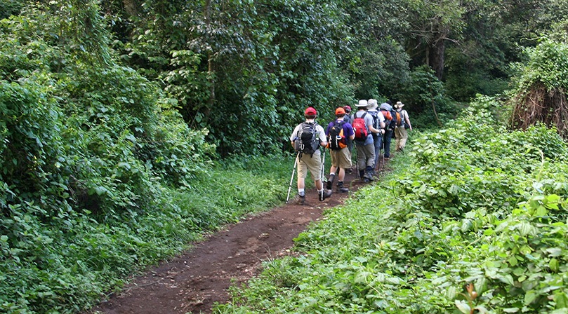 Rainy Season Climbing Guide