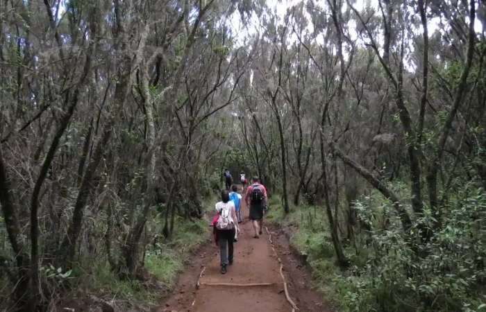 Mount Kilimanjaro Day Hikes & Short Treks Programs