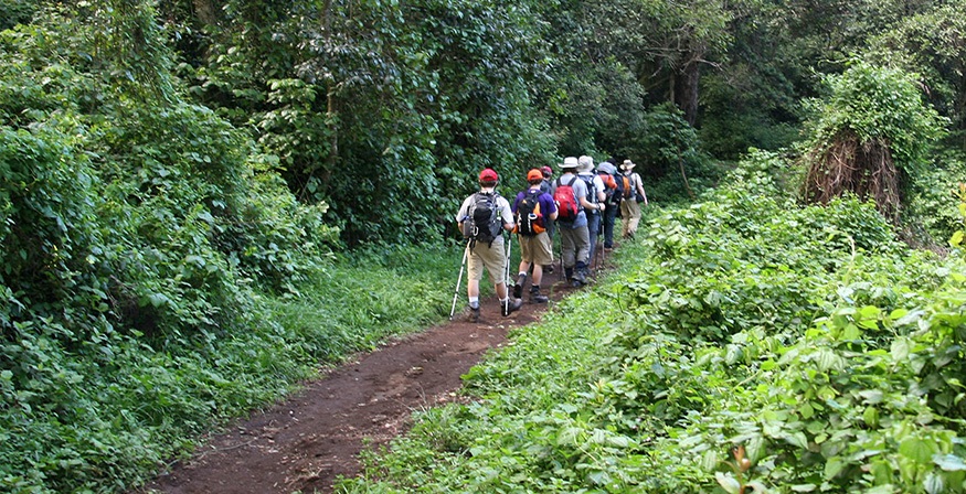 Kilimanjaro park