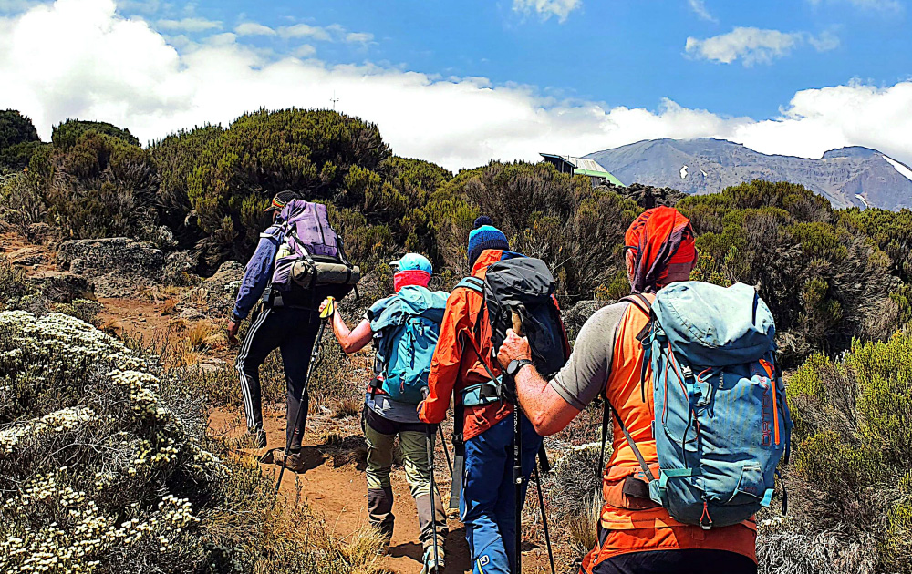 Machame route kilimanjaro