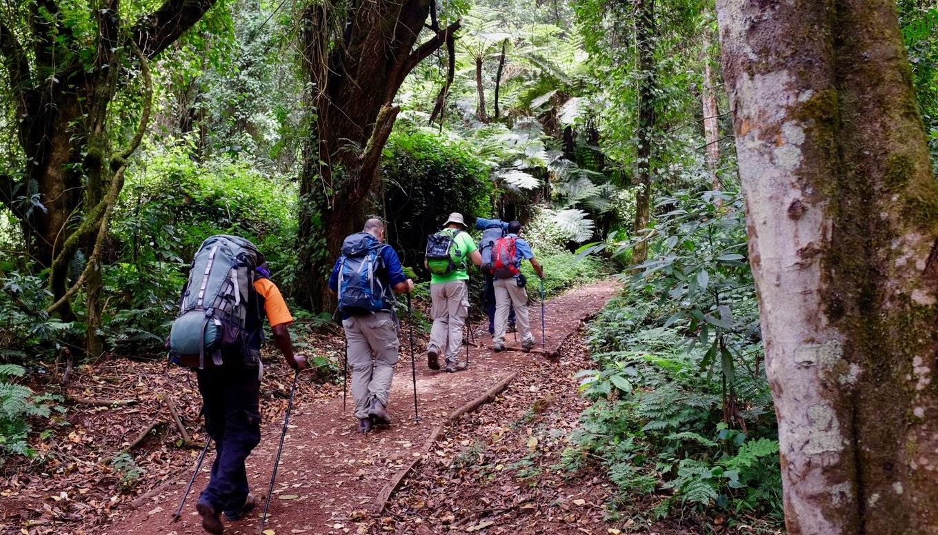 6 Day Machame Route