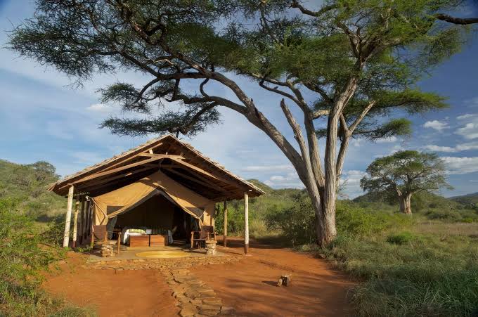 Mkomazi Park