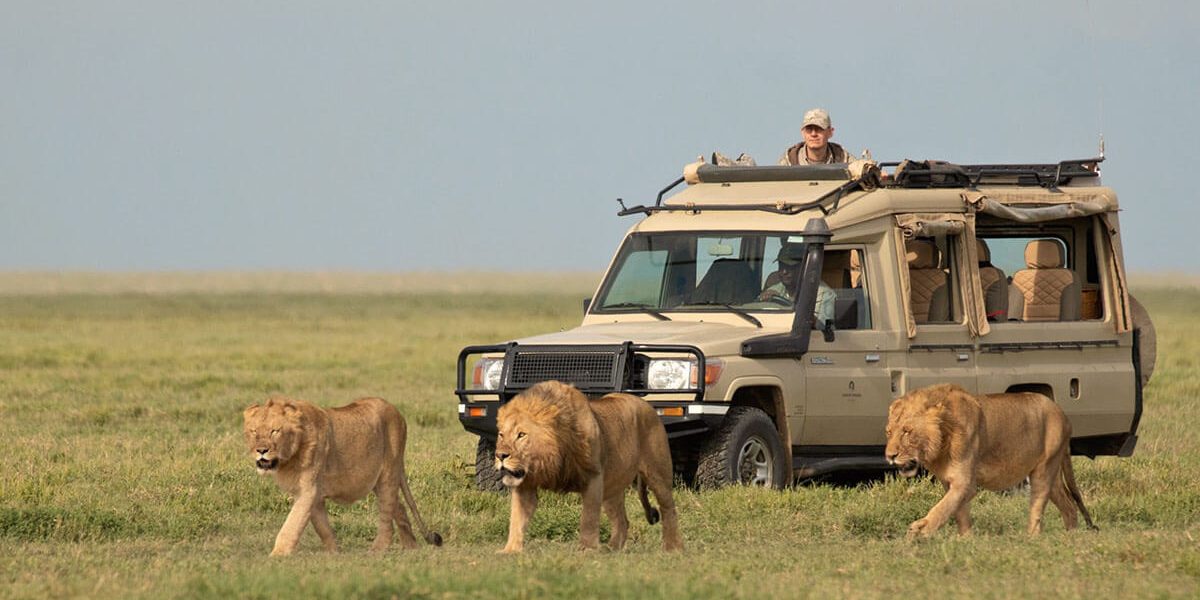 Safari in Tanzania