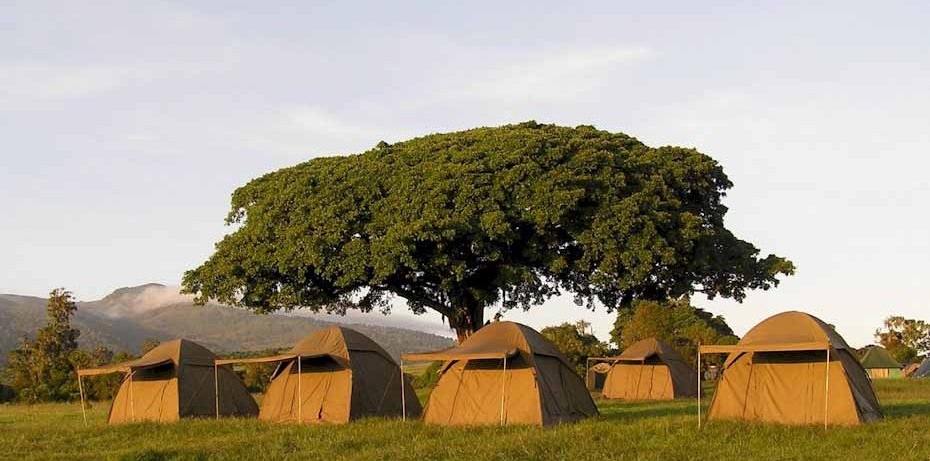 Serengeti Camping