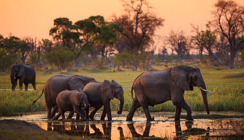 Tarangire National Park