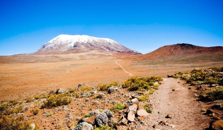 Alpine Desert