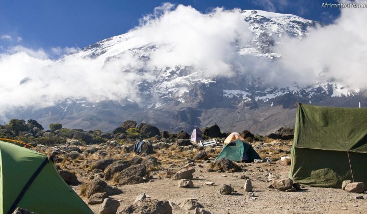 Buffalo Camp Kilimanjaro